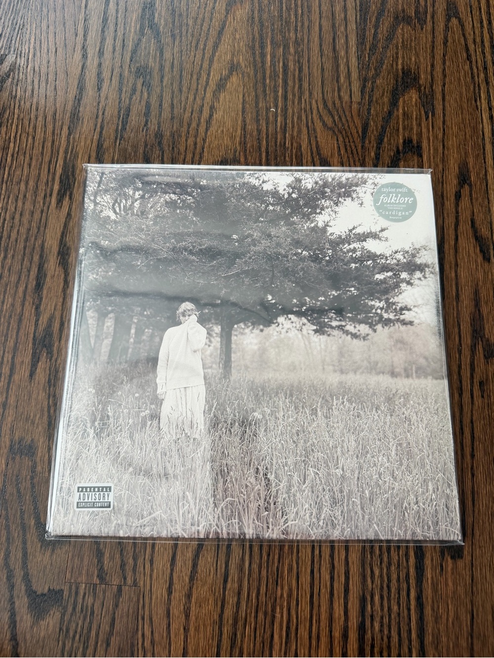 Taylor Swift HIDE AND SEEK Folklore variant Vinyl LP